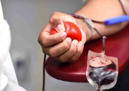Донорская сдача крови