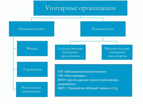 структура унитарных предприятий