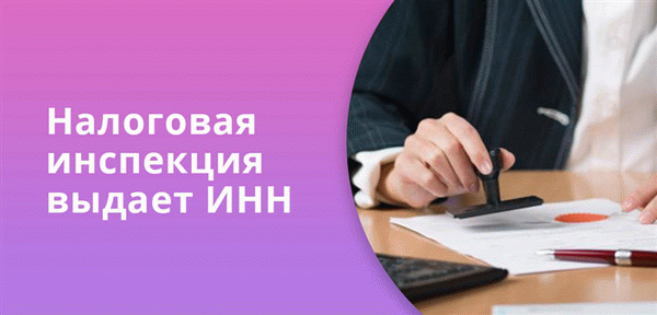 Налоговая инспекция выдает идентификационный код