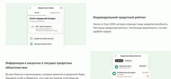 Что можно узнать из кредитного отчета в Сбербанке