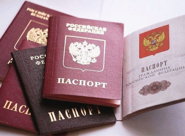 проверка готовности гражданства РФ