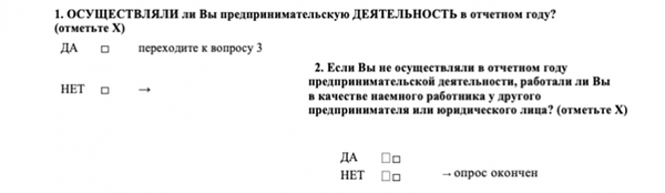 Как заполнить анкету Росстата - если вели бизнес в 2019 году