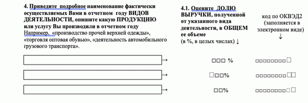 Как заполнить анкету Росстата - четвертый вопрос