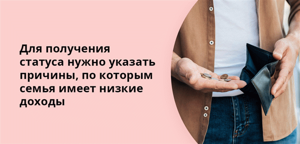 Для получения статуса нужно указать уважительные причины, по которым семья имеет низкие доходы