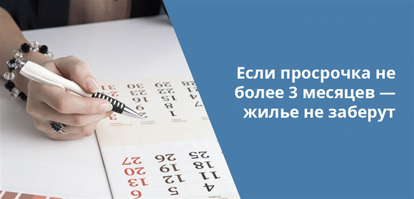 При просрочке не более 3 месяцев квартиру за долги не заберут