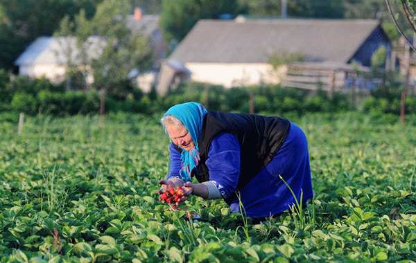 Прибавка