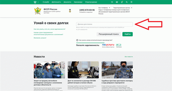 Узнать свои долги по займам через сайт ФССП