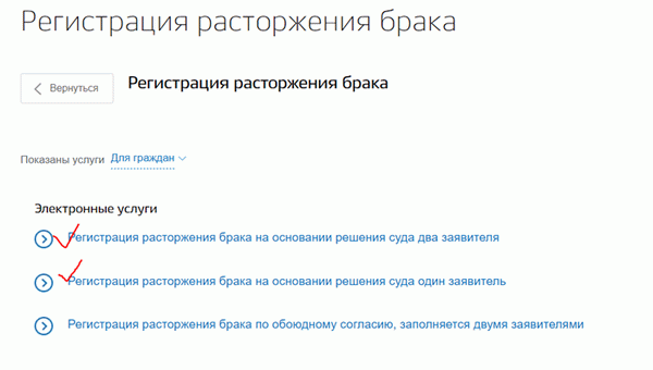 развод через госуслуги по решению суда