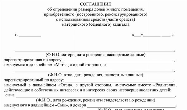 Скачать Типовой бланк соглашения о выделении долей детям