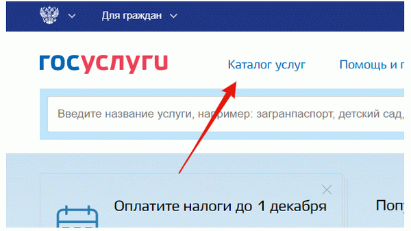 Как поменять загранпаспорт при смене фамилии через МФЦ в 2024 году